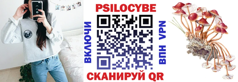 где купить наркотик  Череповец  Псилоцибиновые грибы Psilocybe 